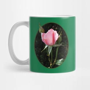 Roses - One Pink Rosebud Mug